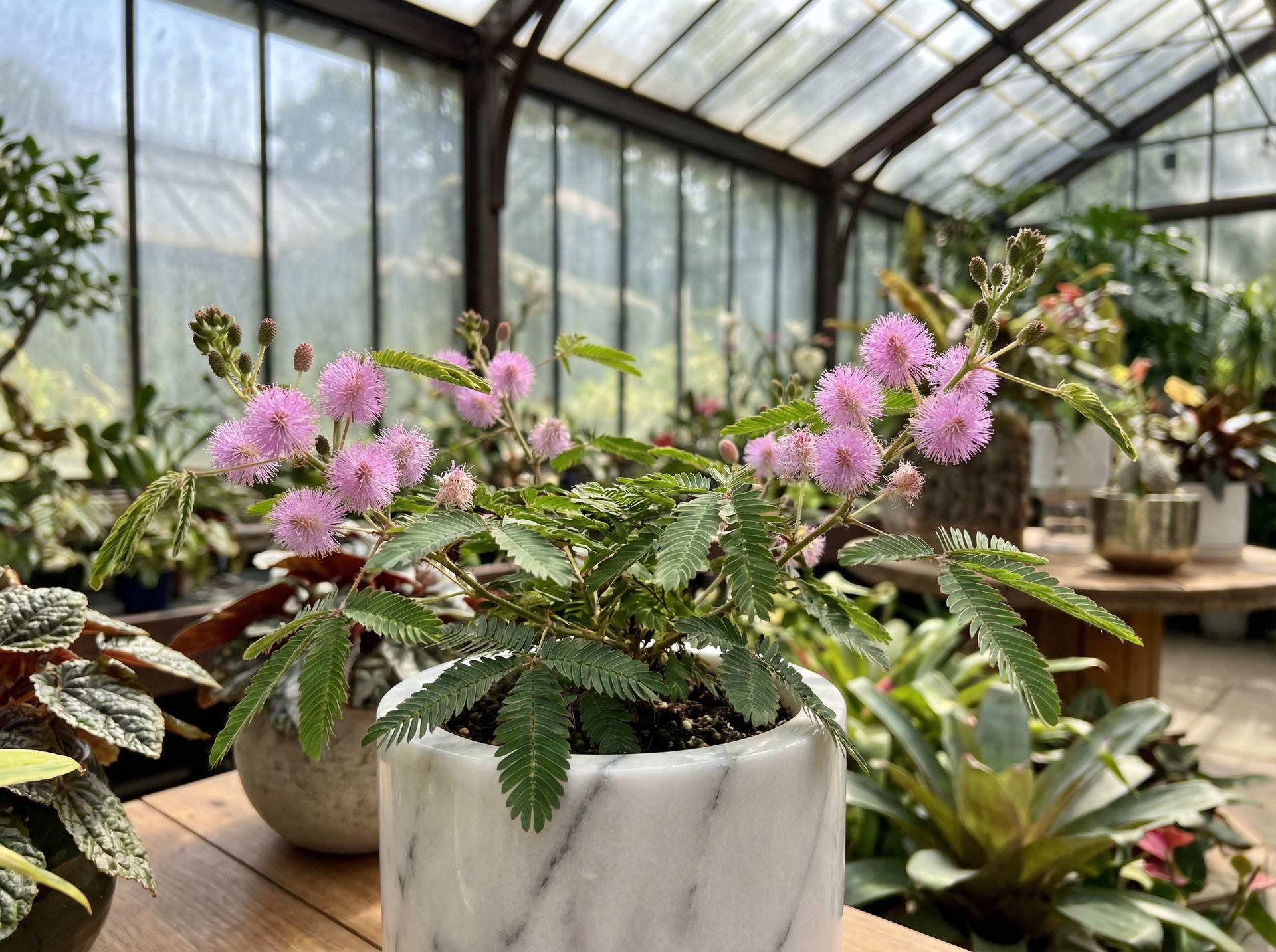 在线看片热门在线看片